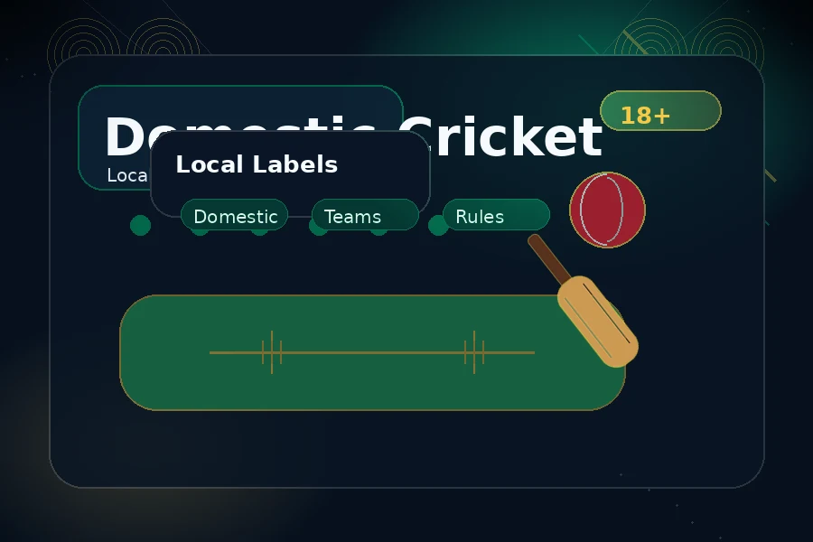 Dhan365 domestic cricket category guide visual with local match categories